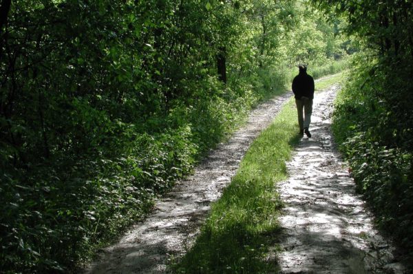 road alone walk