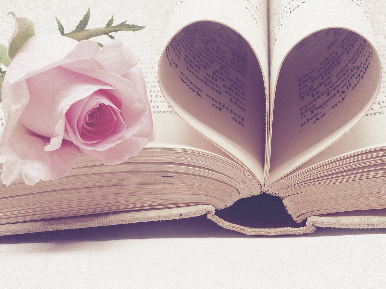 love books valentine